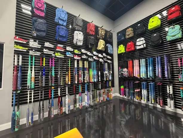 Bat bags and fastpitch bats